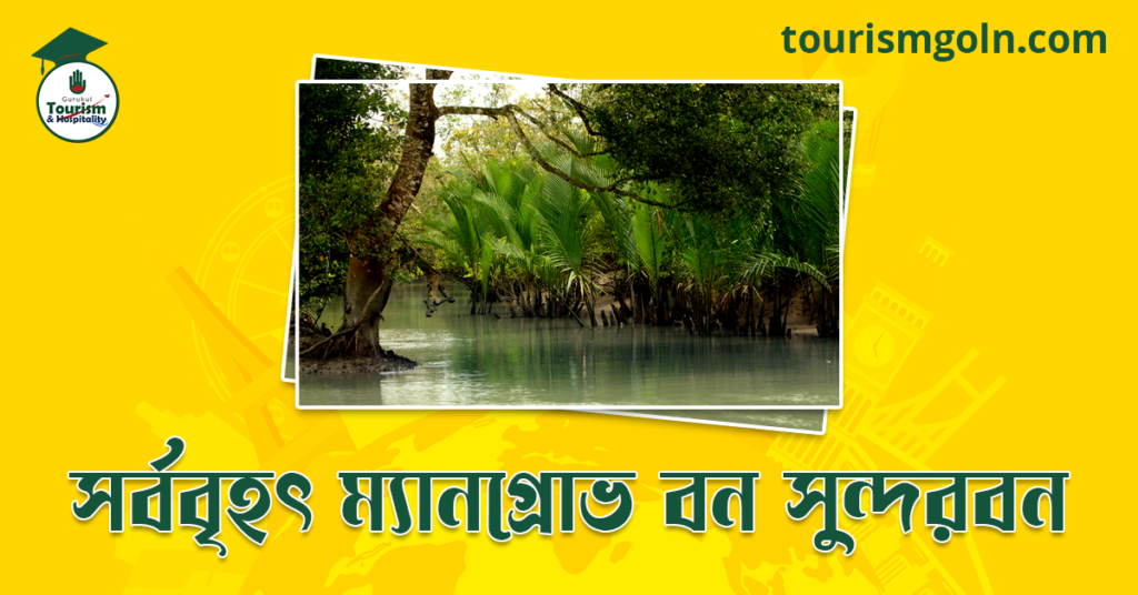 সর্ববৃহৎ ম্যানগ্রোভ বন সুন্দরবন