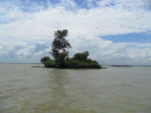 চলন বিল