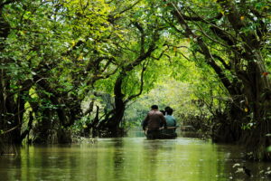 রাতারগুল জলাবন | রাতারগুল সোয়াম্প ফরেস্ট
