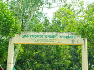 রেমা-কালেঙ্গা অভয়ারণ্য