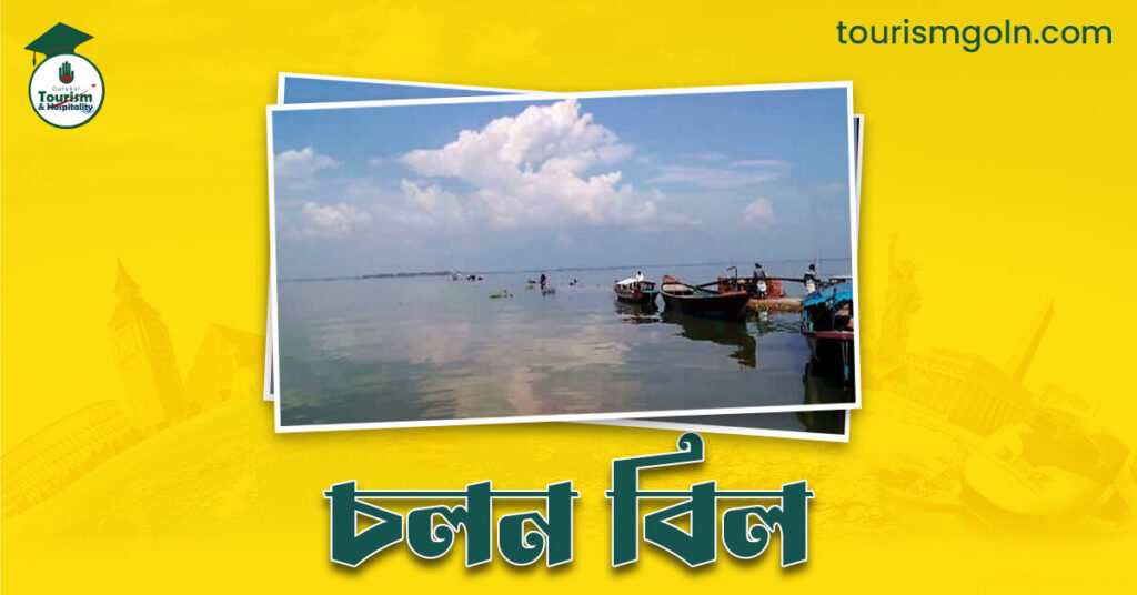 চলন বিল