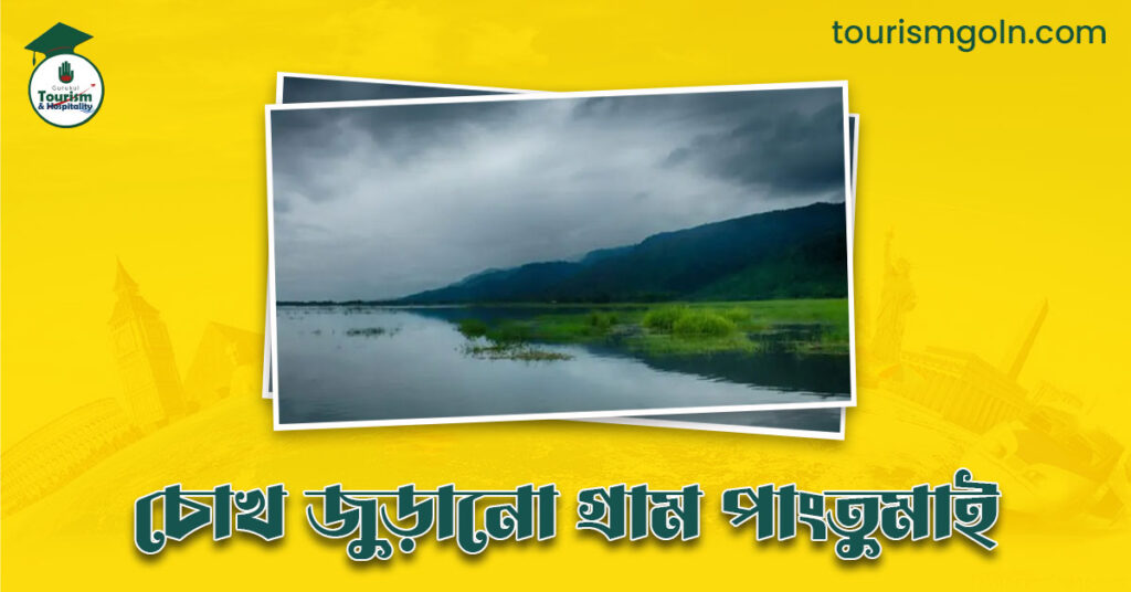 চোখ জুড়ানো গ্রাম পাংতুমাই