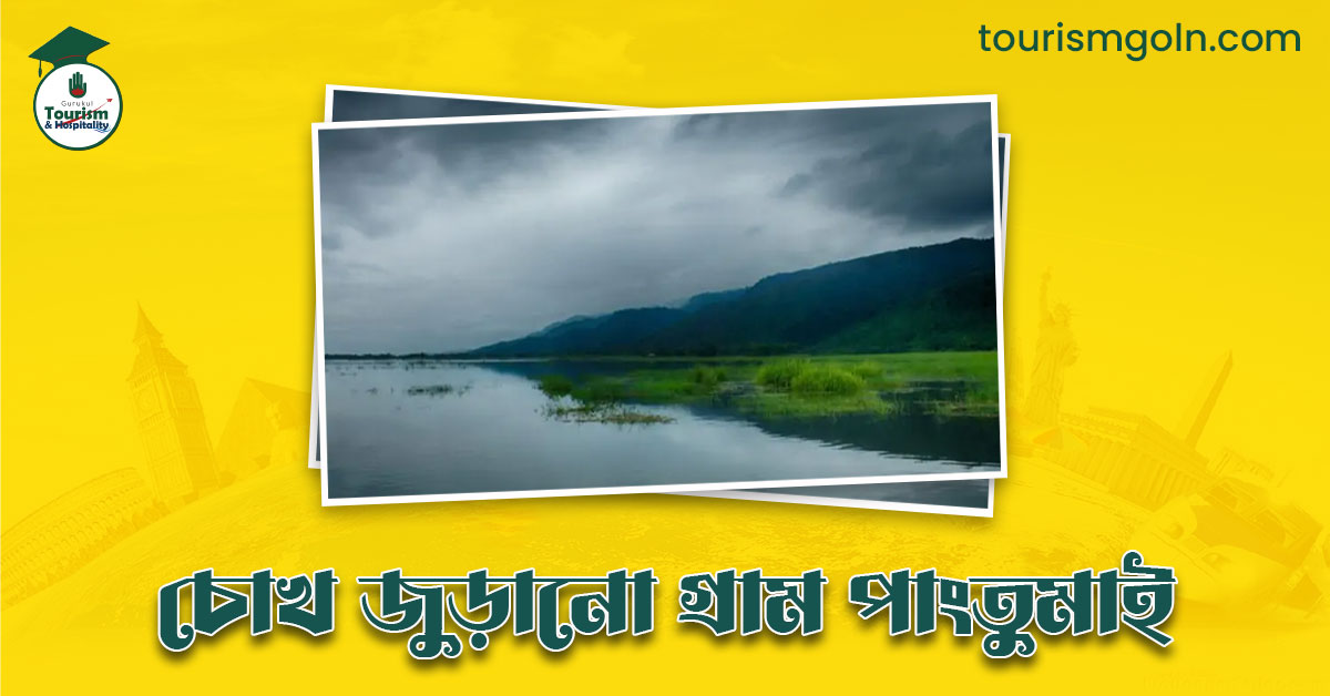 চোখ জুড়ানো গ্রাম পাংতুমাই
