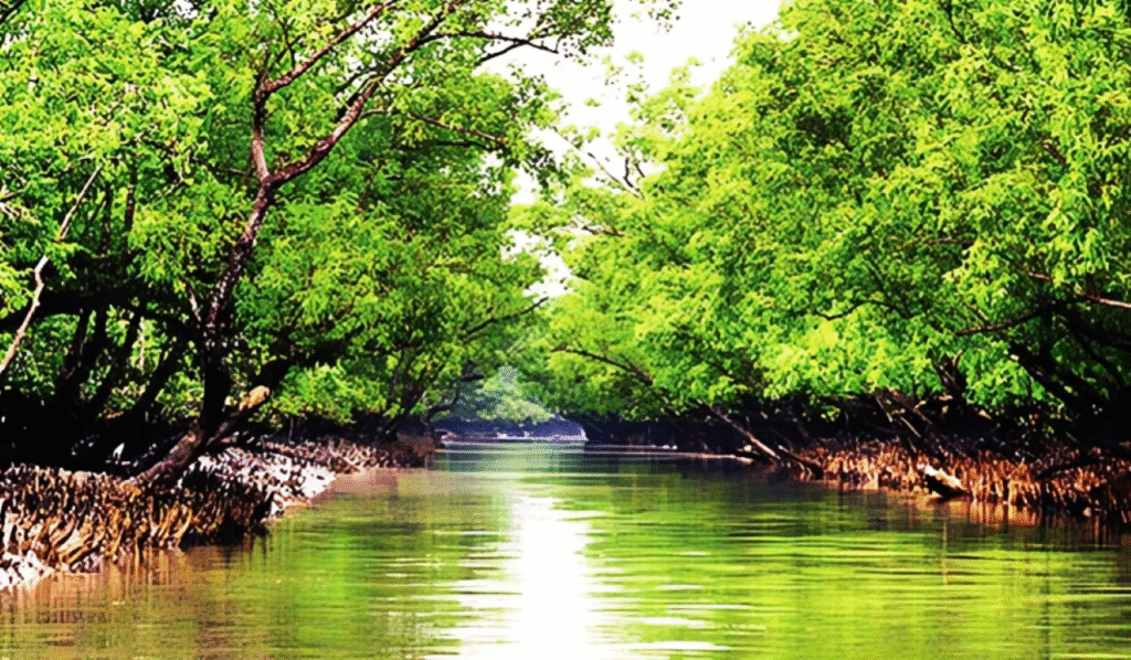 সুন্দরবন