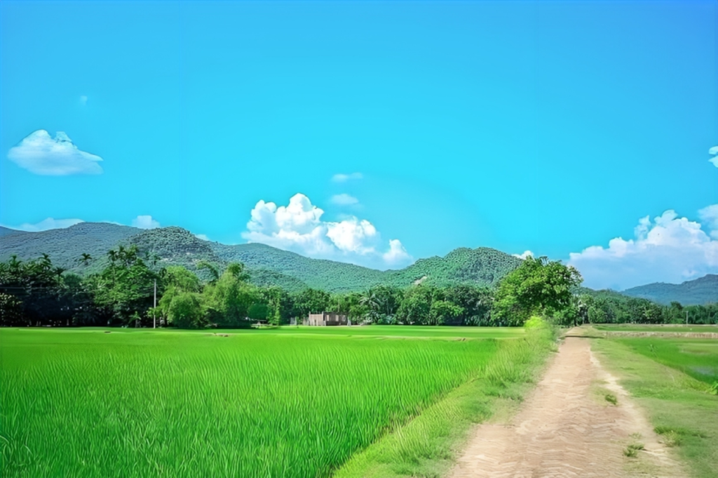 পাঁচগাও, কলমাকান্দা, নেত্রকোনা