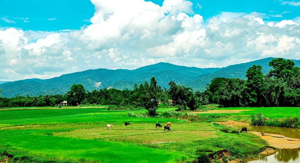 পাঁচগাও, কলমাকান্দা, নেত্রকোনা
